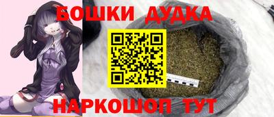 хмурый Бийск