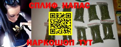 хмурый Бийск