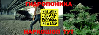 хмурый Бийск