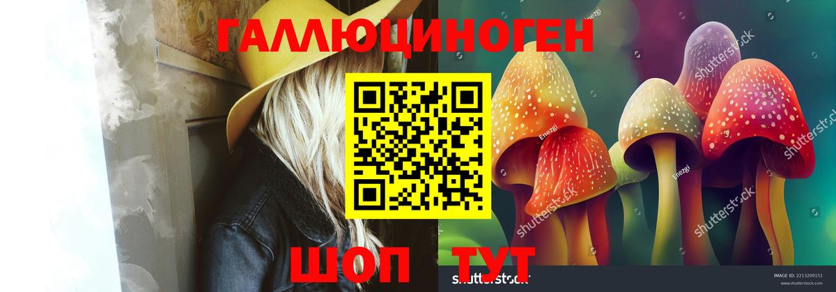 Псилоцибиновые грибы мухоморы Бердск