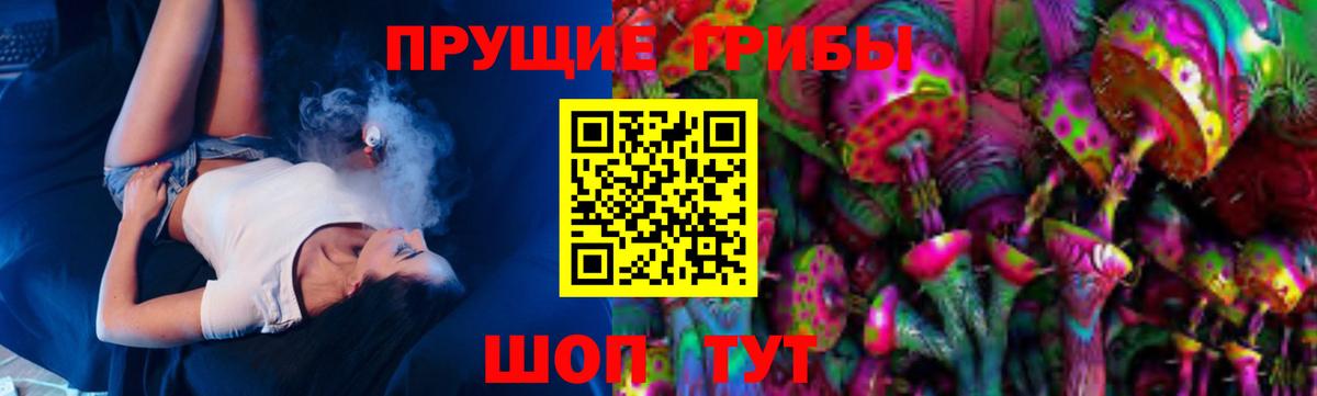 Галлюциногенные грибы GOLDEN TEACHER  Галлюциногенные грибы GOLDEN TEACHER  купить   Вход с VPN  Бердск 